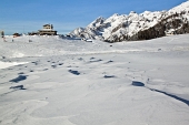 Ciaspolata di Buon Anno 2012 ai Piani dell'Avaro il 3 gennaio - FOTOGALLERY